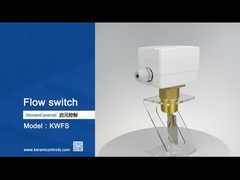 Liquid Flow Measurement Flow Switches With Paddle Sensing Element -20C-120C Temperature Range